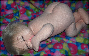 Pacifier Doll - Online Cloth Doll Class