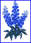Bluebonnet Logo