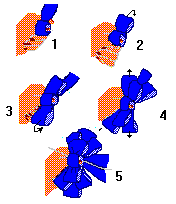 5 steps to make a bow illustrated