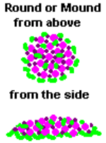 The Round or Mound Arrangement