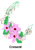 Crescent Shaped Arrangement