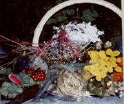 Group of florals